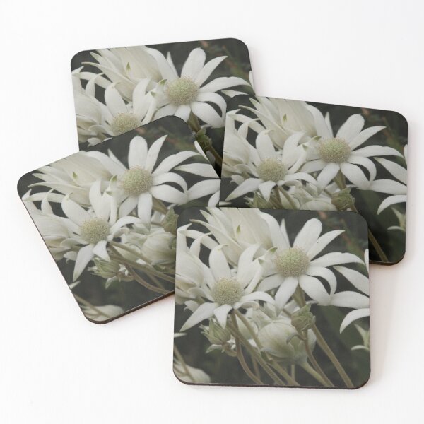 Item preview, The Road Trip Garden Vol.2-11 designed and sold by beeden.