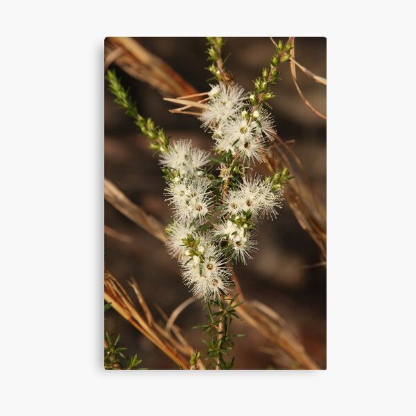 Item preview, The Road Trip Garden Vol.2-13 designed and sold by beeden.