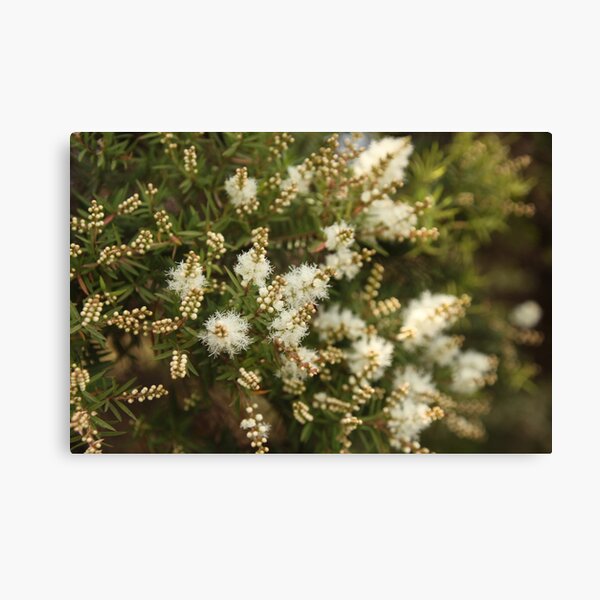 Item preview, The Road Trip Garden Vol.2-14 designed and sold by beeden.
