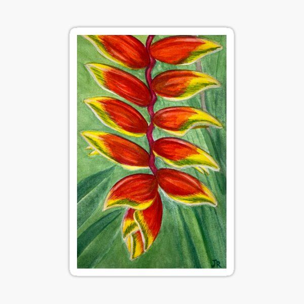 "Crab Claw Heliconia by Judy Richardson 2019" Sticker for Sale by