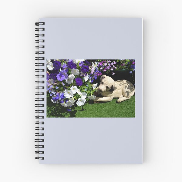 Item preview, In our tiny garden,,,,,,,,,,,,Lyme,Dorset UK.. designed and sold by lynn carter.