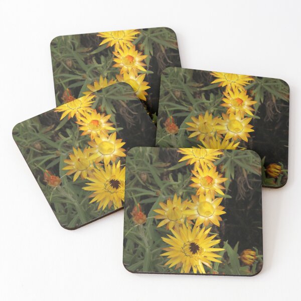Item preview, The Road Trip Garden Vol.2-20 designed and sold by beeden.