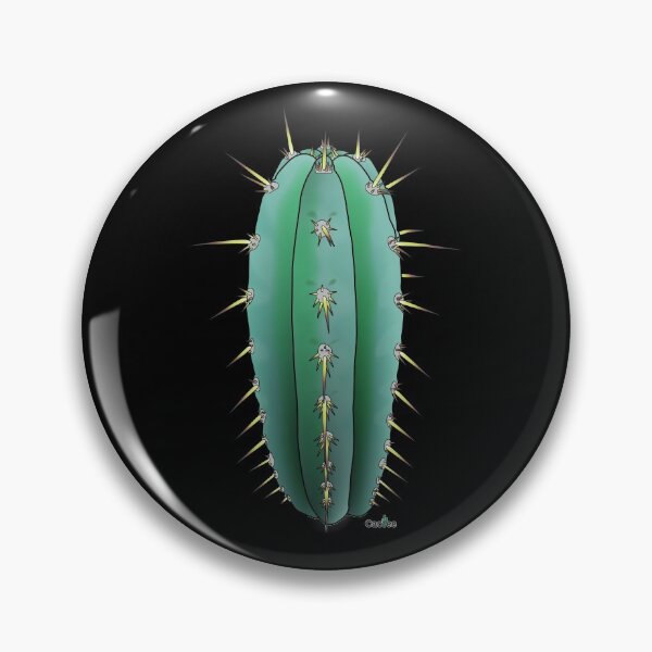 Item preview, Trichocereus Sharxx Blue (Peruvianus) side designed and sold by Cactee.