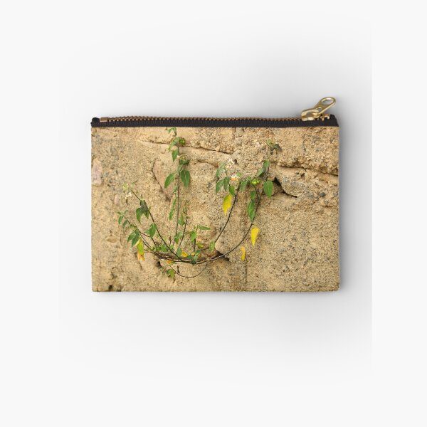 Item preview, Branch in a Concrete Wall designed and sold by rhamm.