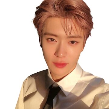 13 nct127 ジェヒョン　sticker kwiyeographics