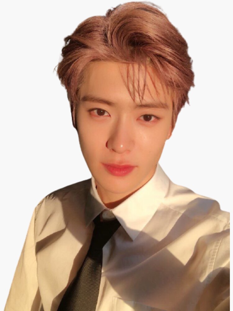 13 nct127 ジェヒョン　sticker 13 nct127 ジェヒョン sticker