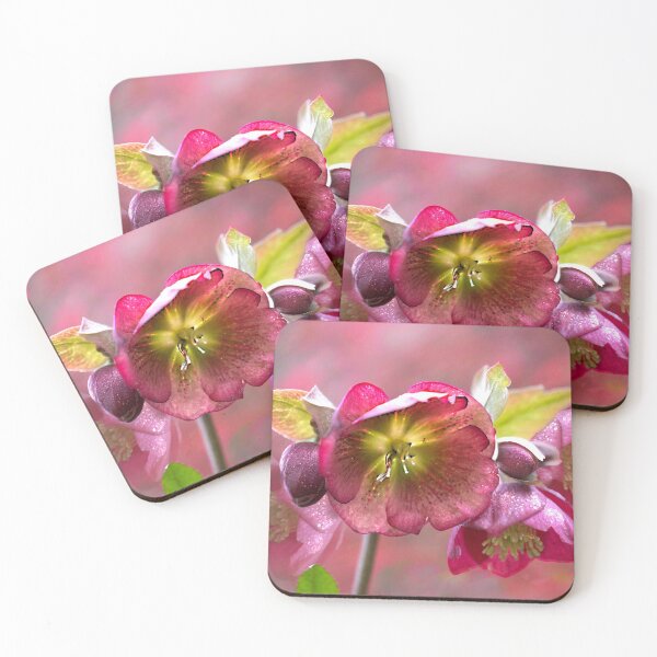 Item preview, Sparkling Hellebores  designed and sold by Alisonchambers2.