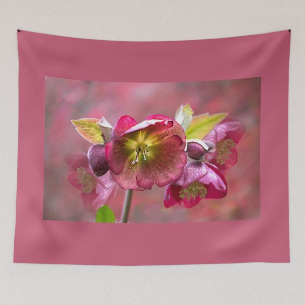 Item preview, Sparkling Hellebores  designed and sold by Alisonchambers2.