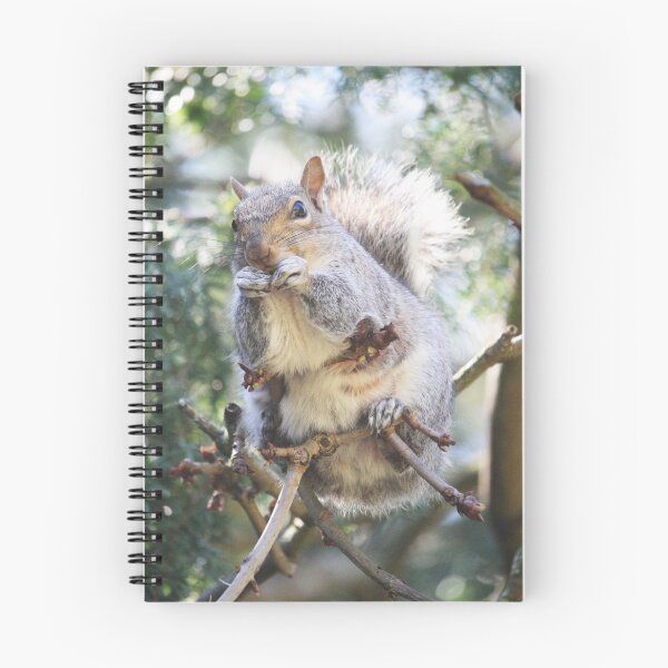 Item preview, Squirrel Up High designed and sold by RedbubbleRonald.