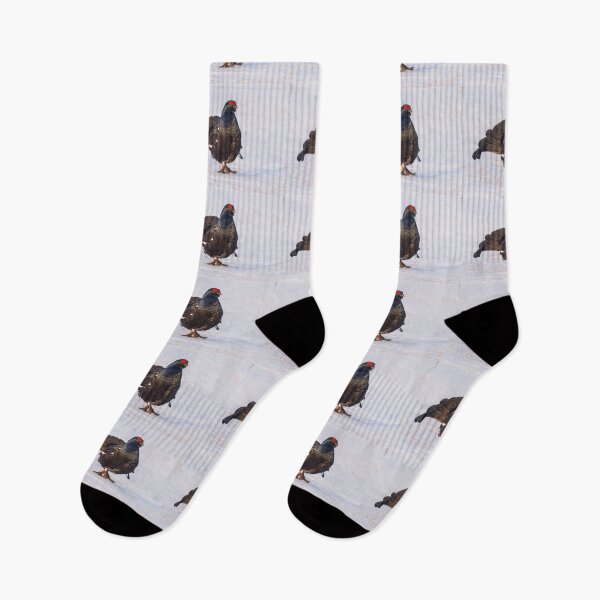 Item preview, Black grouse in the morning light designed and sold by Ingo Gerlach.
