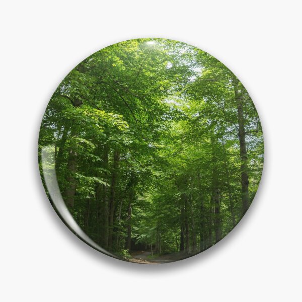 Item preview, Forest Bathing - Summertime Walk on a Calming Sun Dappled Path designed and sold by Georgia Mizuleva.