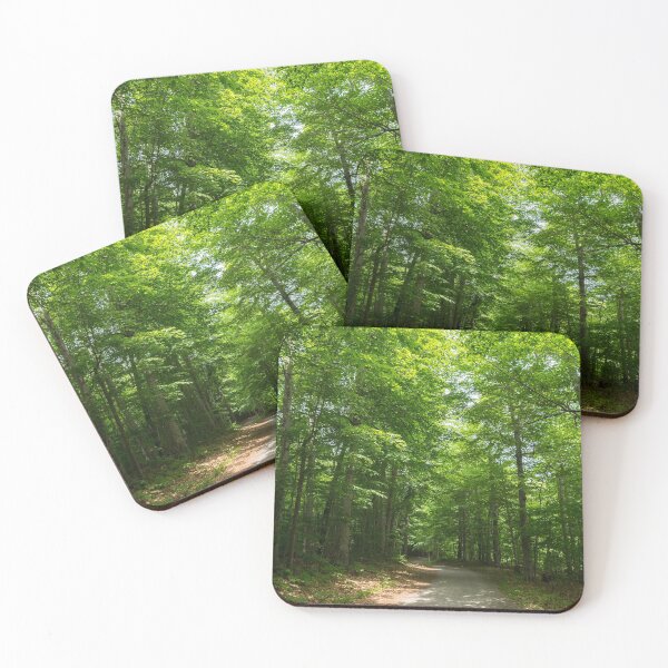 Item preview, Forest Bathing - Summertime Walk on a Calming Sun Dappled Path designed and sold by Georgia Mizuleva.