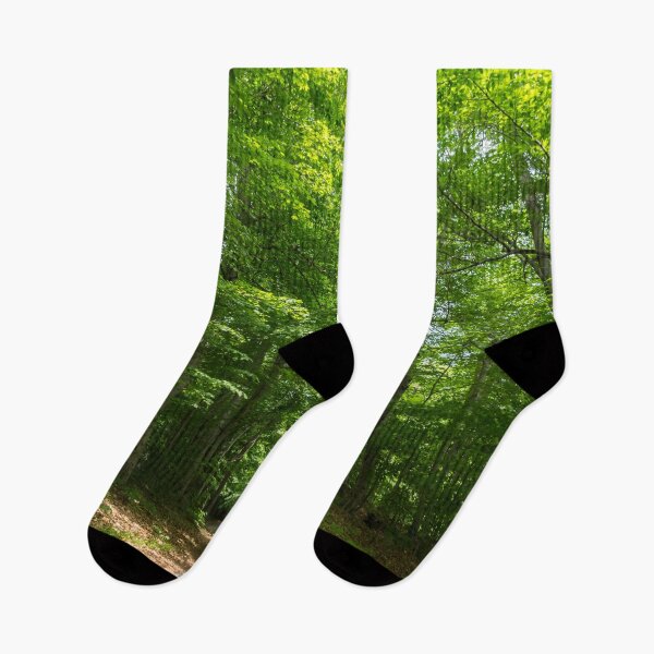 Item preview, Forest Bathing - Summertime Walk on a Calming Sun Dappled Path designed and sold by Georgia Mizuleva.