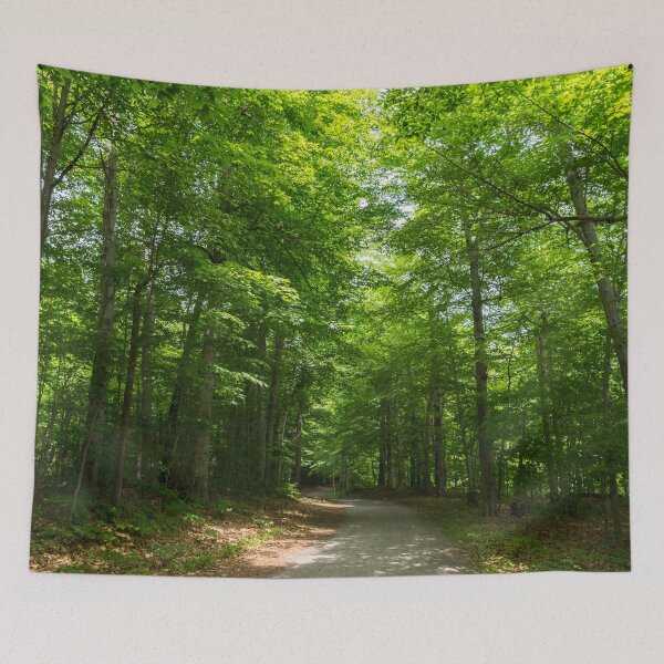 Item preview, Forest Bathing - Summertime Walk on a Calming Sun Dappled Path designed and sold by Georgia Mizuleva.
