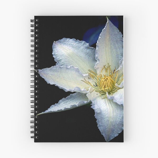 Item preview, Bluish Clematis designed and sold by Gilberte.
