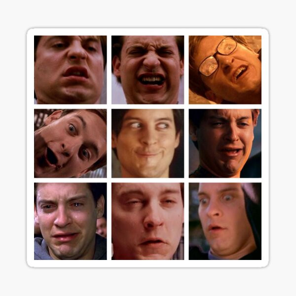 Toby Macguire's Many Faces Sticker
