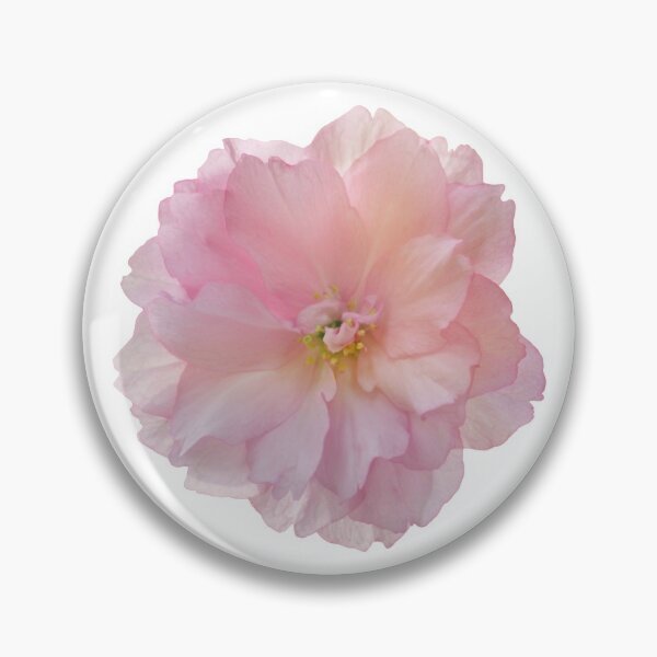 Artikelvorschau, Eine schöne Kirschblüte entworfen und verkauft von Shir-designs.