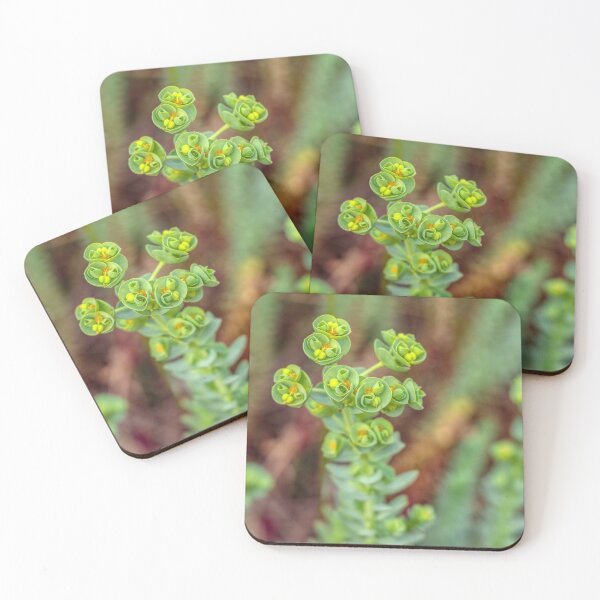 Item preview, Beach-side plants designed and sold by Carolyn's Captures - Original Photohgraphy.