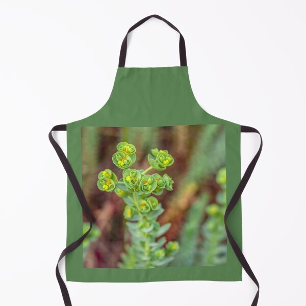 Item preview, Beach-side plants designed and sold by Carolyn's Captures - Original Photohgraphy.