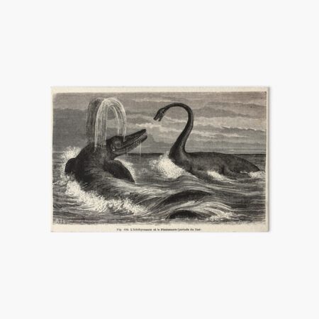 Louis Figuier - Ichthyosaur and Plesiosaur Art Board Print