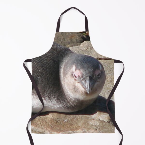 Item preview, Cute African Penguin Closeup Boulders Beach, Cape Town designed and sold by worldways.
