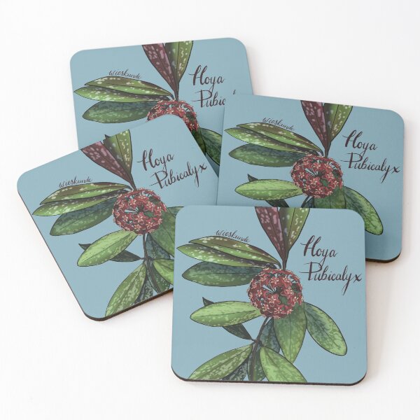 Item preview, Hoya pubicalyx in bloom designed and sold by Wieskunde.