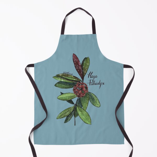 Item preview, Hoya pubicalyx in bloom designed and sold by Wieskunde.