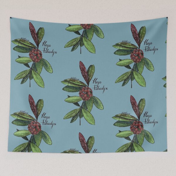 Item preview, Hoya pubicalyx in bloom designed and sold by Wieskunde.