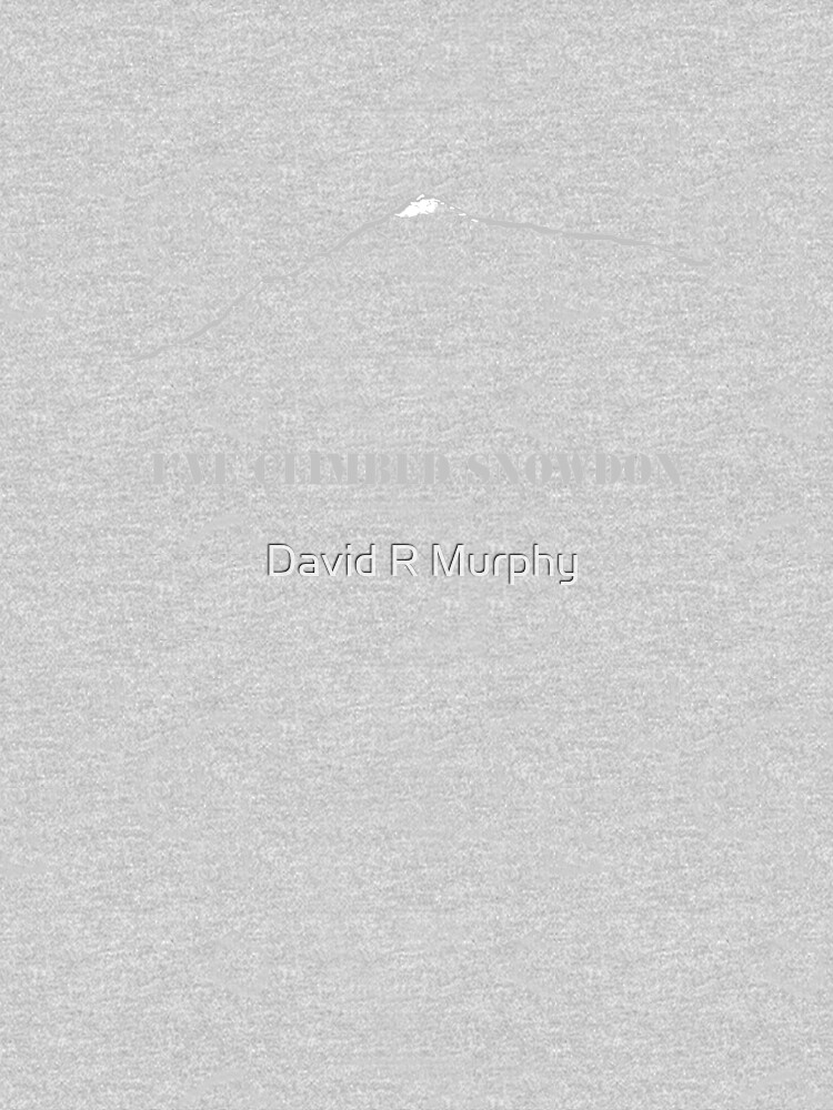 I ve Climbed Snowdon by DavidRMurphy