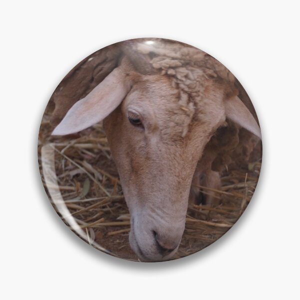 Item preview, Sheep designed and sold by Bryds94.