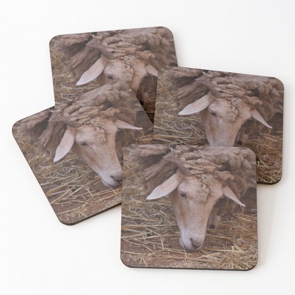 Item preview, Sheep designed and sold by Bryds94.