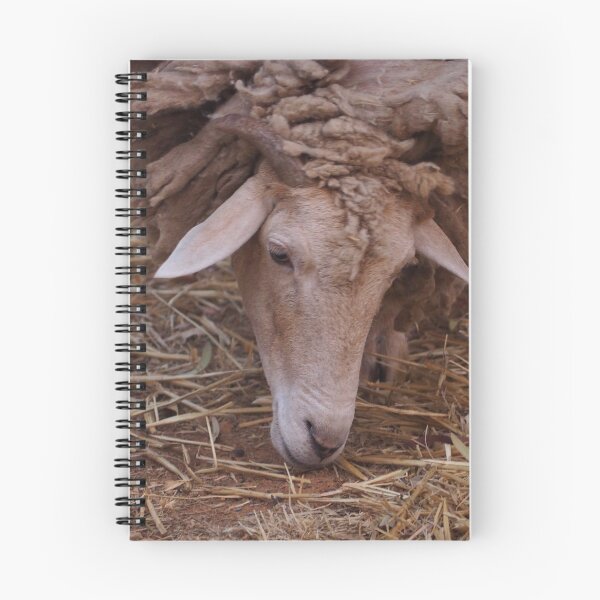 Item preview, Sheep designed and sold by Bryds94.