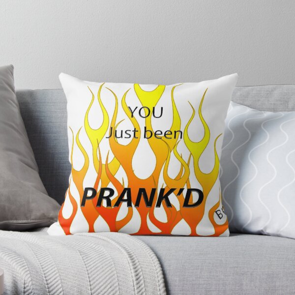 4chan Prank Pillows and Cushions for Sale Redbubble