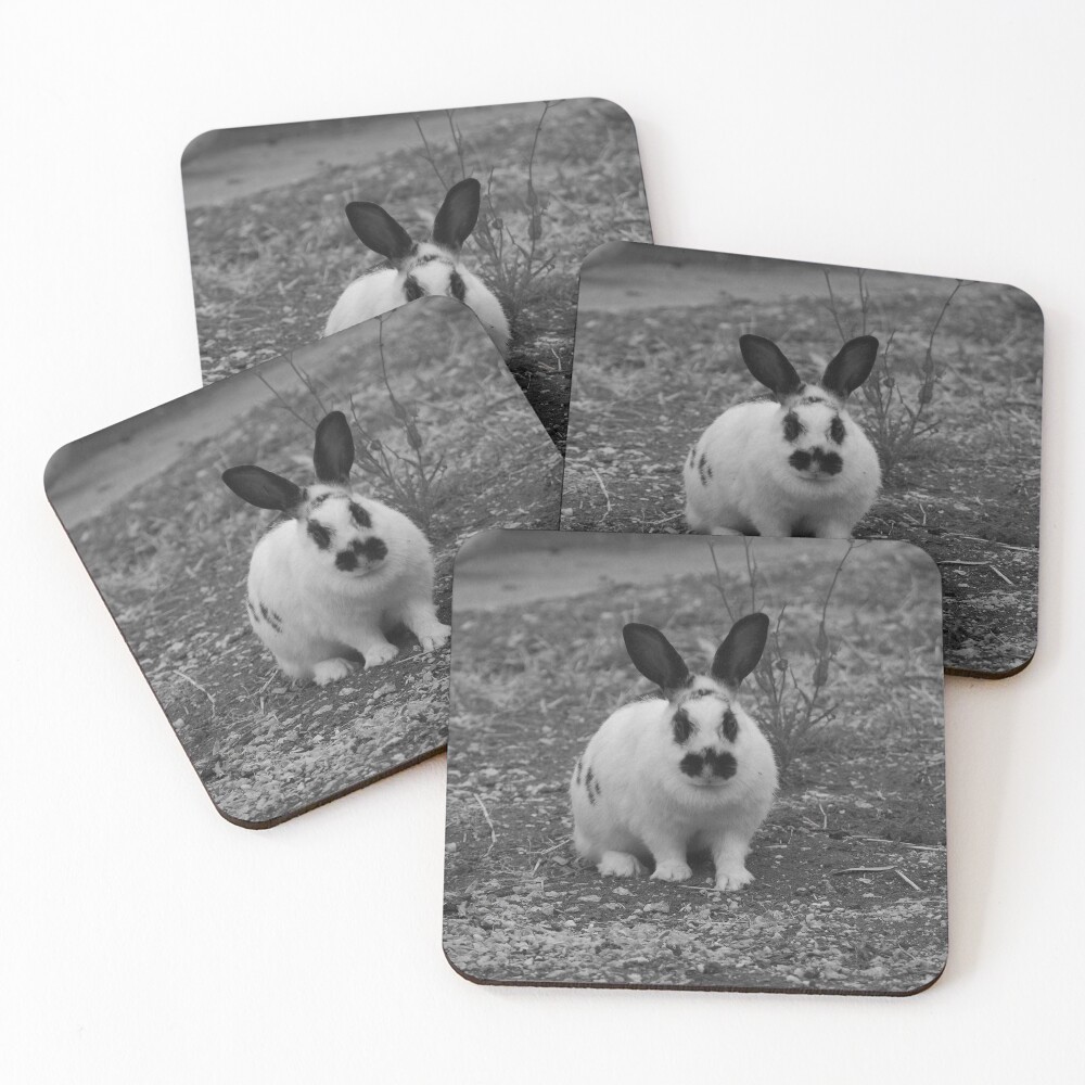 Item preview, Coasters (Set of 4) designed and sold by Bryds94.