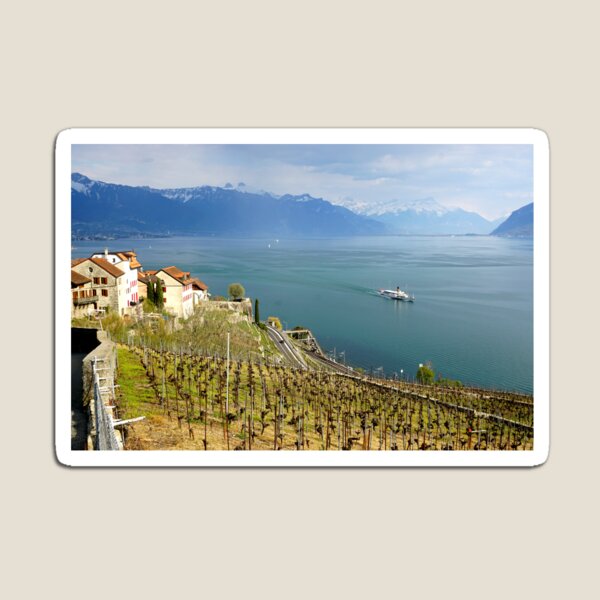 Item preview, Lavaux vineyard terraces Lac Léman Swiss designed and sold by nikawanders.