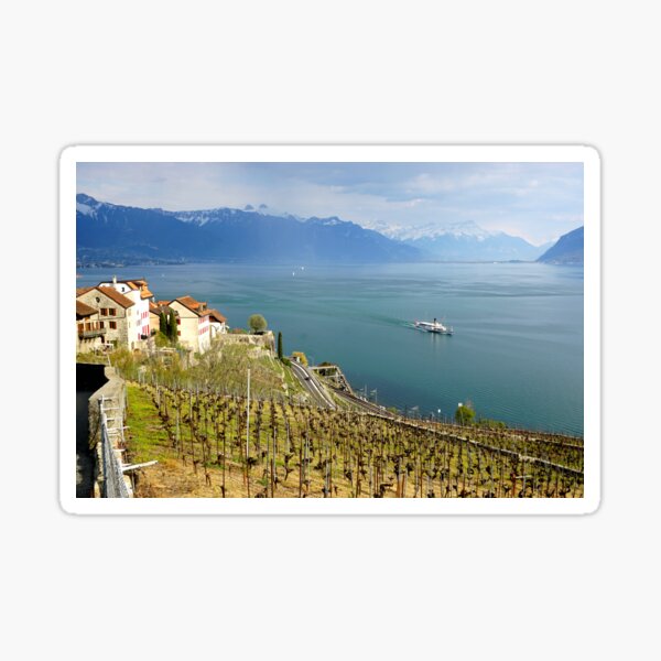 Item preview, Lavaux vineyard terraces Lac Léman Swiss designed and sold by nikawanders.
