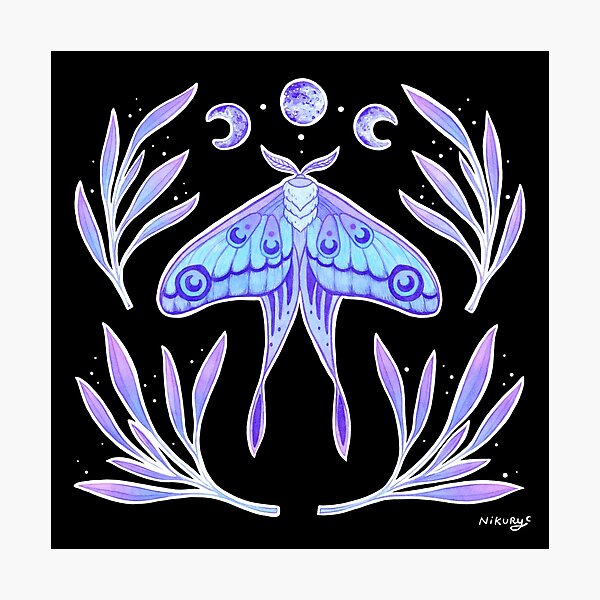 Magical Moth | Nikury Photographic Print