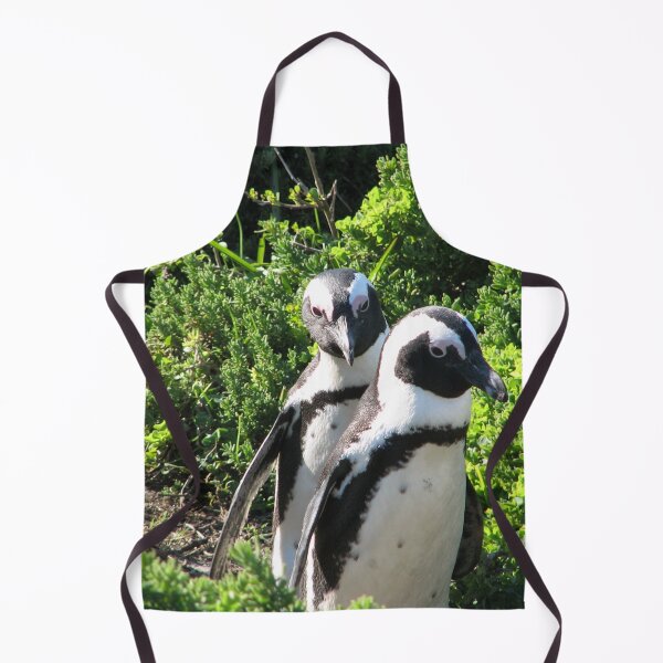 Item preview, Two African Penguins Strolling Boulders Beach, Cape Town, South Africa designed and sold by worldways.