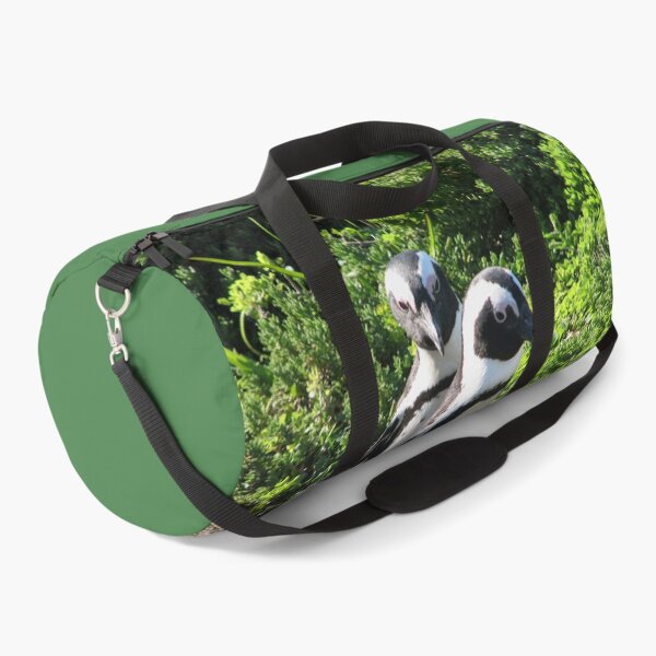 Item preview, Two African Penguins Strolling Boulders Beach, Cape Town, South Africa designed and sold by worldways.
