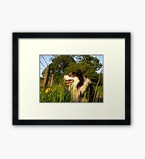 It's Summer. Framed Print