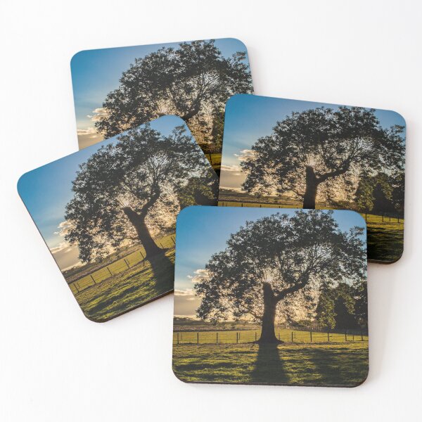 Item preview, Treemendous designed and sold by MacNAlba.
