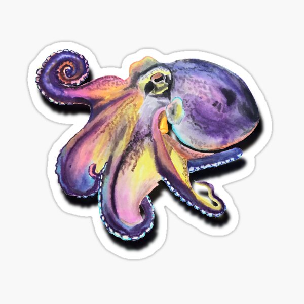 Octopus - Watercolour Sticker