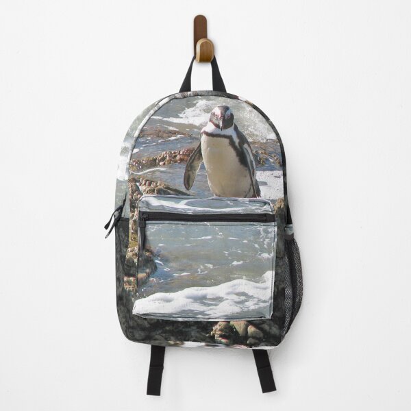 Item preview, African Penguins at Boulders Beach, Cape Town, South Africa designed and sold by worldways.