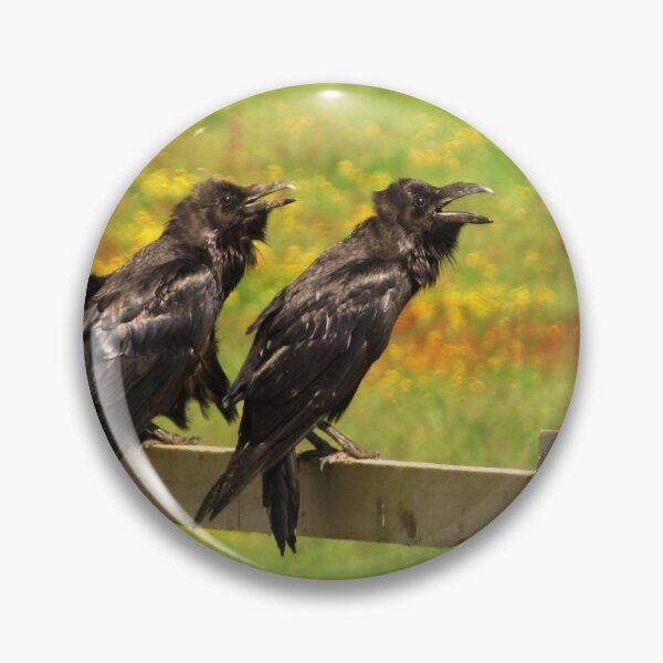 Item preview, ravens on a gate designed and sold by Surreybirder.