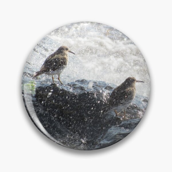 Item preview, birds braving the spray designed and sold by Surreybirder.