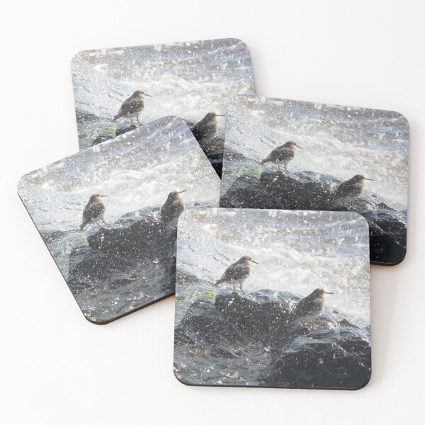 Item preview, birds braving the spray designed and sold by Surreybirder.