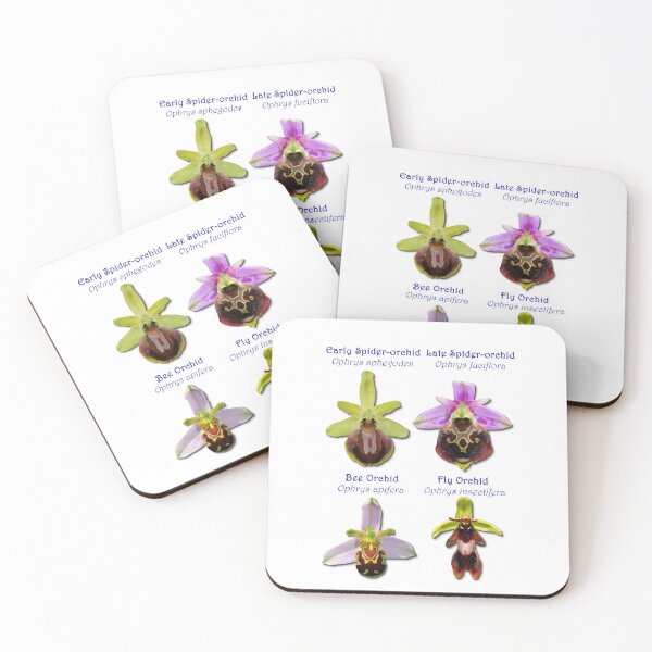 Item preview, The Four British Ophrys Orchid Flowers designed and sold by AmanitaArts.