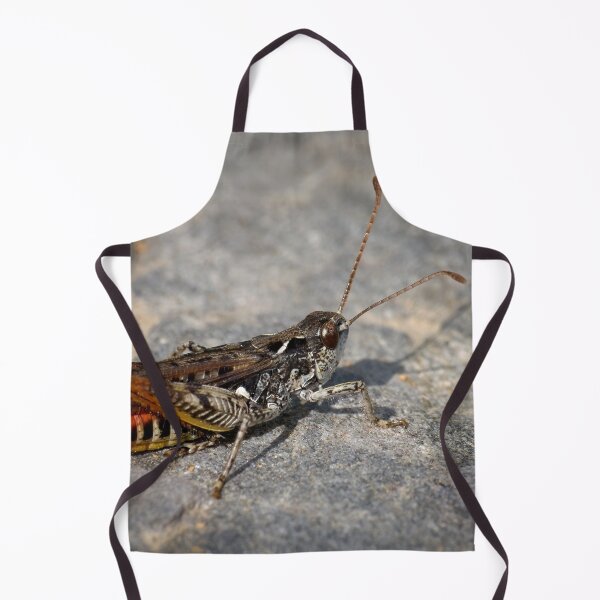 Item preview, Mottled Grasshopper designed and sold by Jouko Lehto Photography.