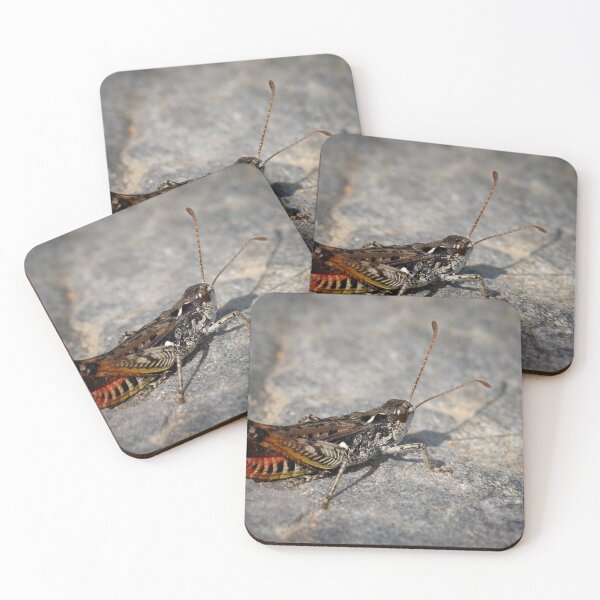 Item preview, Mottled Grasshopper designed and sold by Jouko Lehto Photography.