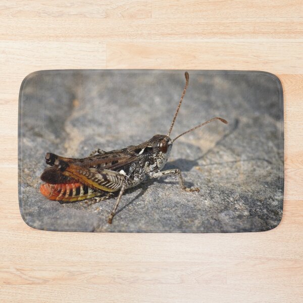 Item preview, Mottled Grasshopper designed and sold by Jouko Lehto Photography.